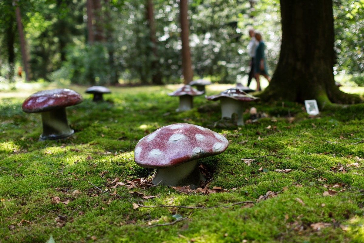Kinderhofje