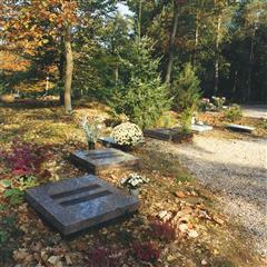 Gedenkplaats inclusief monument