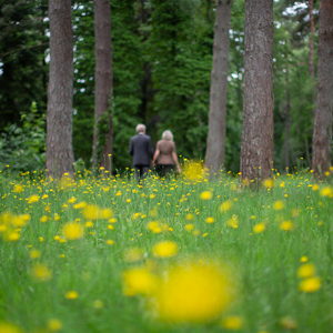 Facultatieve Dieren Onze Kapel Studio Rutger Vos 7691
